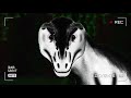 Albino rexvhs  animation 