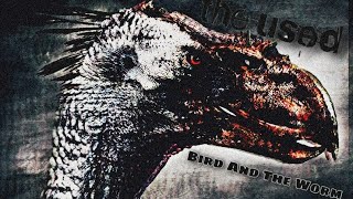Terror Bird Tribute Bird And The Worm