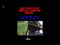 最上流の大アマゴ⁉︎