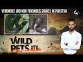 Venomous and Non Venomous Snakes in Pakistan | Wild Pets with Aun 4th August 2019