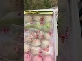 ありがとうございます