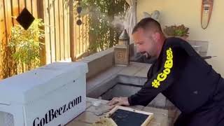 Bee Removal From A Backyard Grill Pembroke Pines, Fl