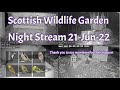 Night Stream June 21st 2022 | Bird Feeders, Wildlife Cameras Scotland UK from SWG