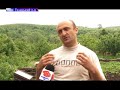 Загадкова загибель бджіл на Галичині Загадкова загибель бджіл на Галичині