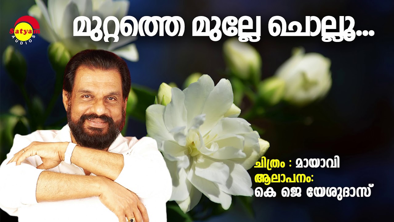 Muttathe Mulle Chollu  Maayavi  K J Yesudas   Alex Paul  Vayalar Sarathchandra Varma