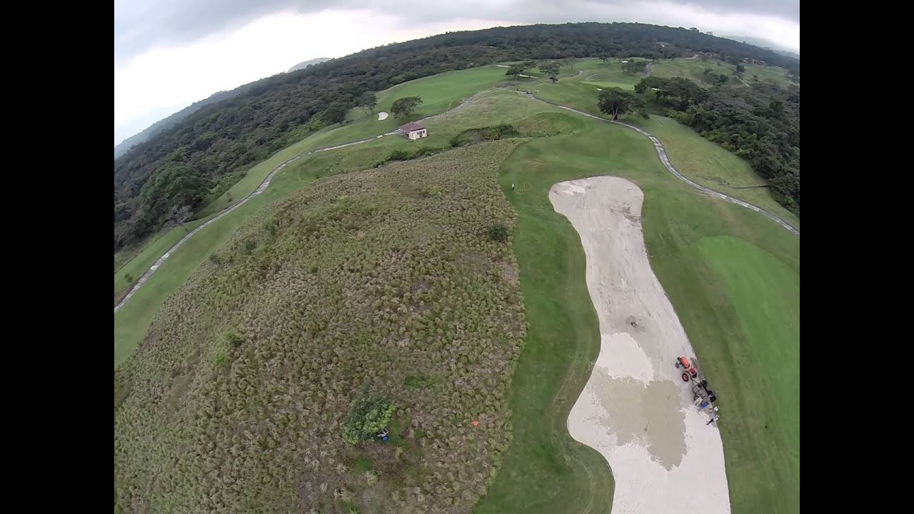 tarantula spider GOPR0090