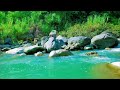 Deep Sleep River Sounds Flowing Gently Past Soft Sand and Rounded Stones