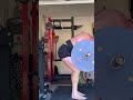 225x15 Barbell Row