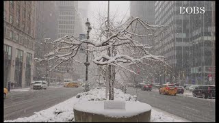 New York débute le printemps... sous la neige