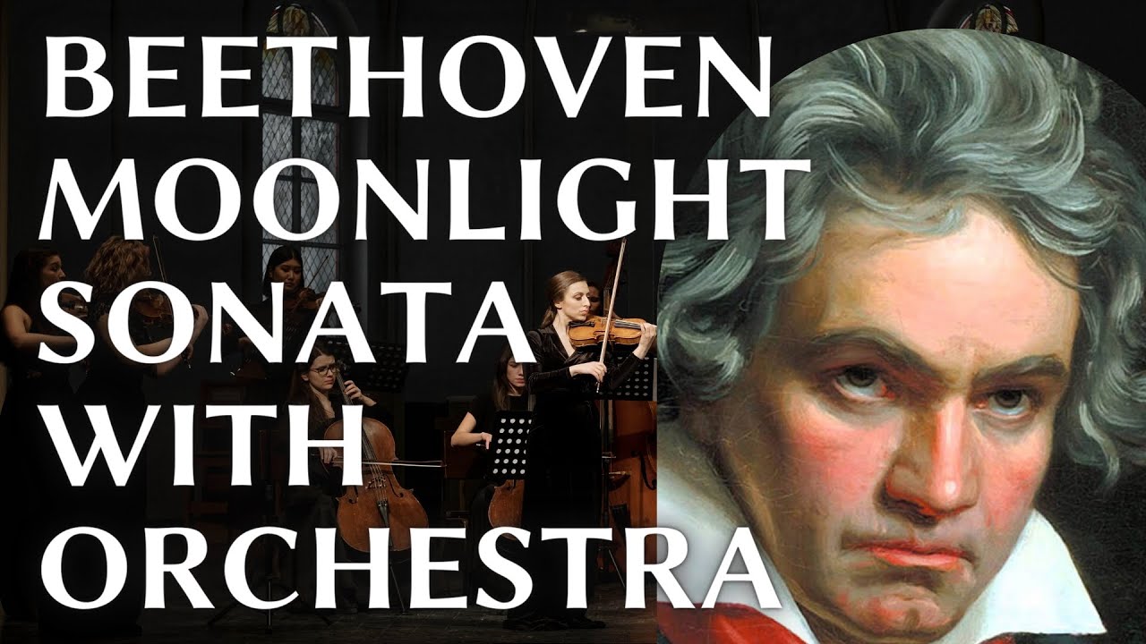 Beethoven Moonlight Sonata / Orchestra Version No Percussion YouTube