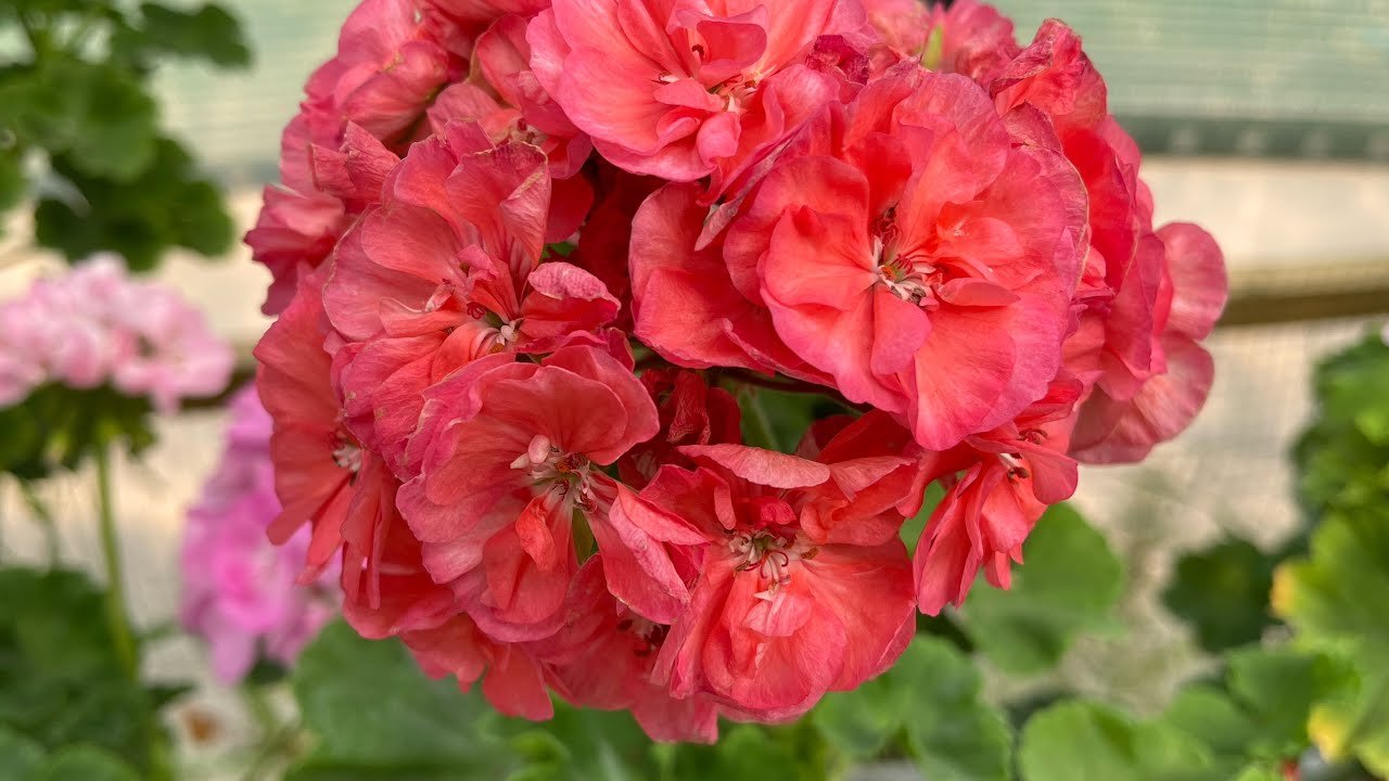 Жаһаннамда