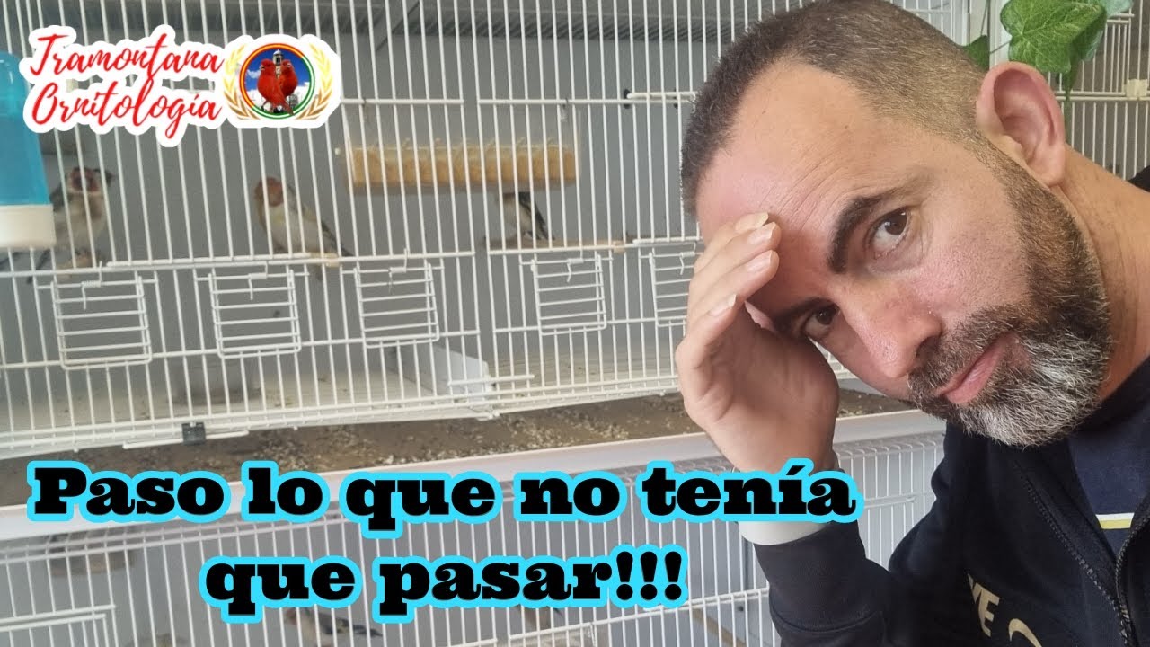 Ya se lio compañer@s, estoy negro!!