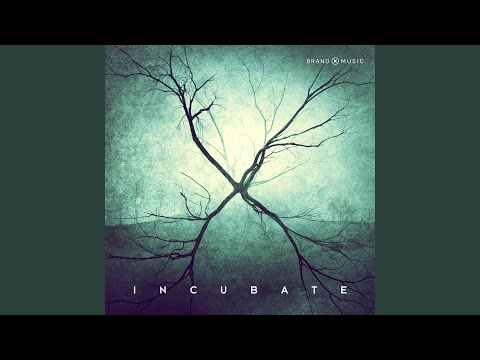 Decimate