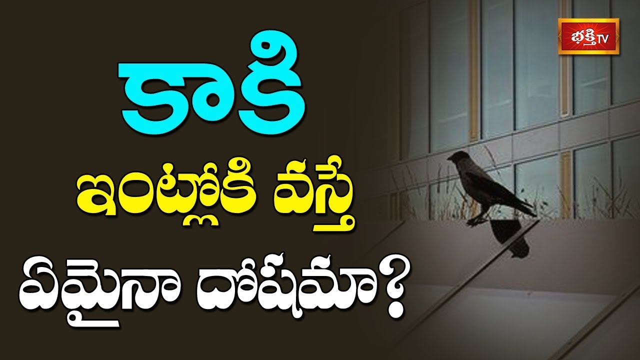 కాకి ఇంట్లోకి వస్తే ఏమైనా దోషమా? | Sri Mylavarapu Srinivasa Rao | Dharma Sandehalu | Bhakthi TV