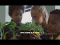 Easy Science Investigatory Project Ideas for High School Students