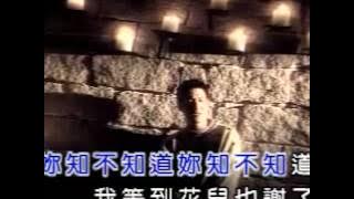jacky cheung 1995
