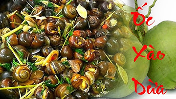 Cách Nấu Ốc Xào Dừa Đơn Giản Tại Nhà / Bếp của Tui