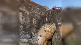 Diyarbakırda Kayalıkta Mahsur Kalan Keçiler Kurtarıldı