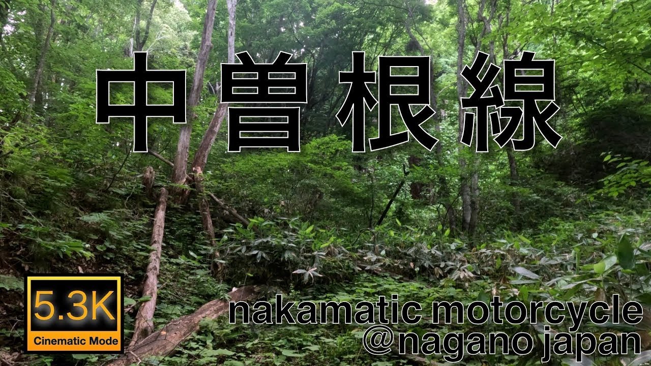 #226    長野県長野市林道ファイル［中曽根線］