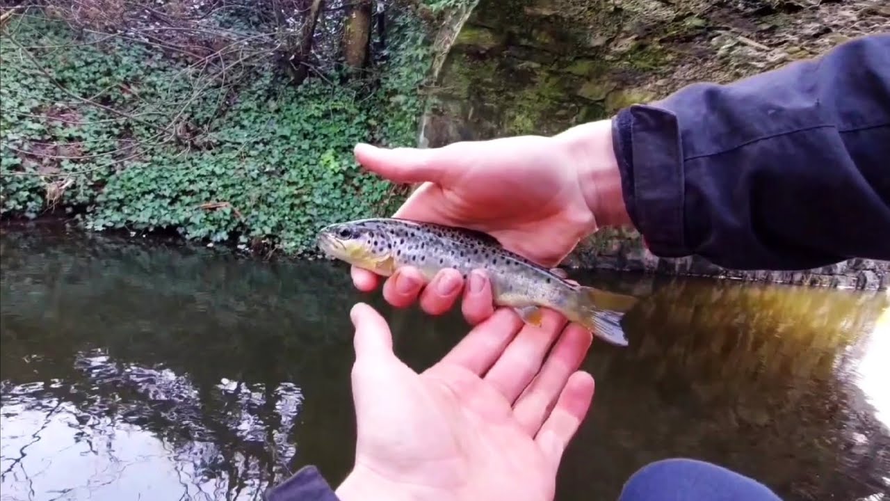 Brown trout fishing with worms in the snow YouTube