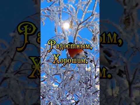 'Доброе утро!'Красивое пожелание#музыкальнаяоткрытка#пожелание #доброеутро#красиваяоткрытка#shorts