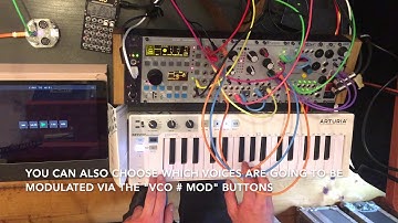 4 Voice Tuned Sampler - ER-301 Custom Unit