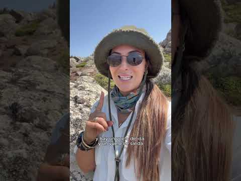 La agencia que escogí para viajar a Socotra no fue por casualidad 🧡 #socotra #socotraisland