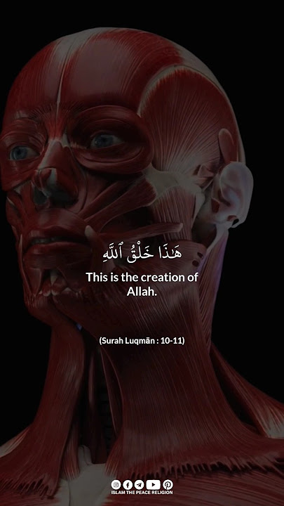 Download lagu Surah Luqmān : 10-11 | Yasser Al-Dosari | Beautiful and Heart Soothing Qur'an Recitation ❤