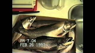Flashback: January, February, 1997, Christmas 1995: Up-converted from VHS-C to 720p HD