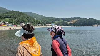전라도 사투리 들어볼랑가? 무슨말인지 귀기울이게 된당께 #해변의여인구수한 말씀중#검은모래해변 맨발걷기#모나리자여행라이프