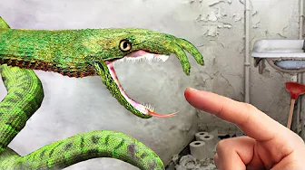Venomous Sewer Snake FOUND in Bangkok!