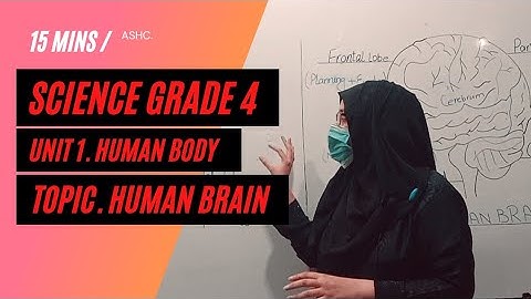 Science Class 4, Unit 1, Lecture 1| Human Brain. ASHC.