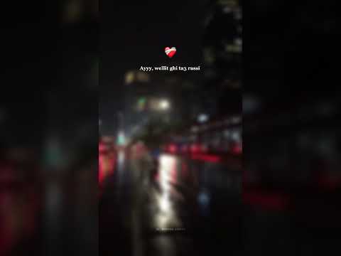 وليت غير تاع راسي