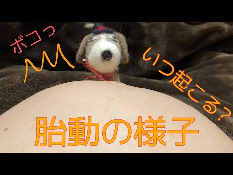 胎動の様子【9ヶ月33週3日】