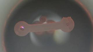 Flash Sintering - USP - Test 4