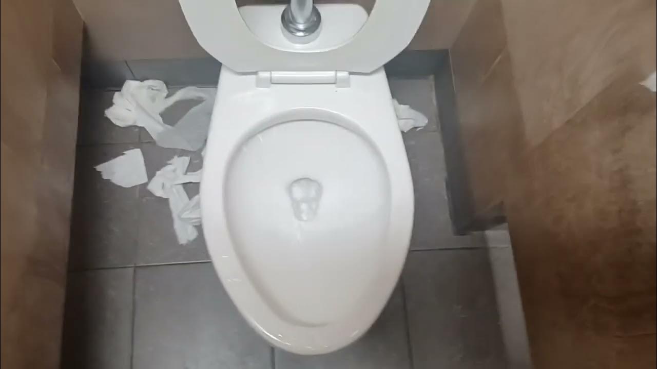 Zurn Urinals (Not used) And Toto Toilets (One of them used) At A Flying