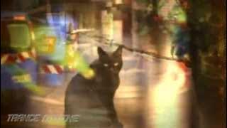 Fanatic Emotions - My Dream (Epic Trance Mix) [Heavenly Traxx] Promo►Video Edit ♛