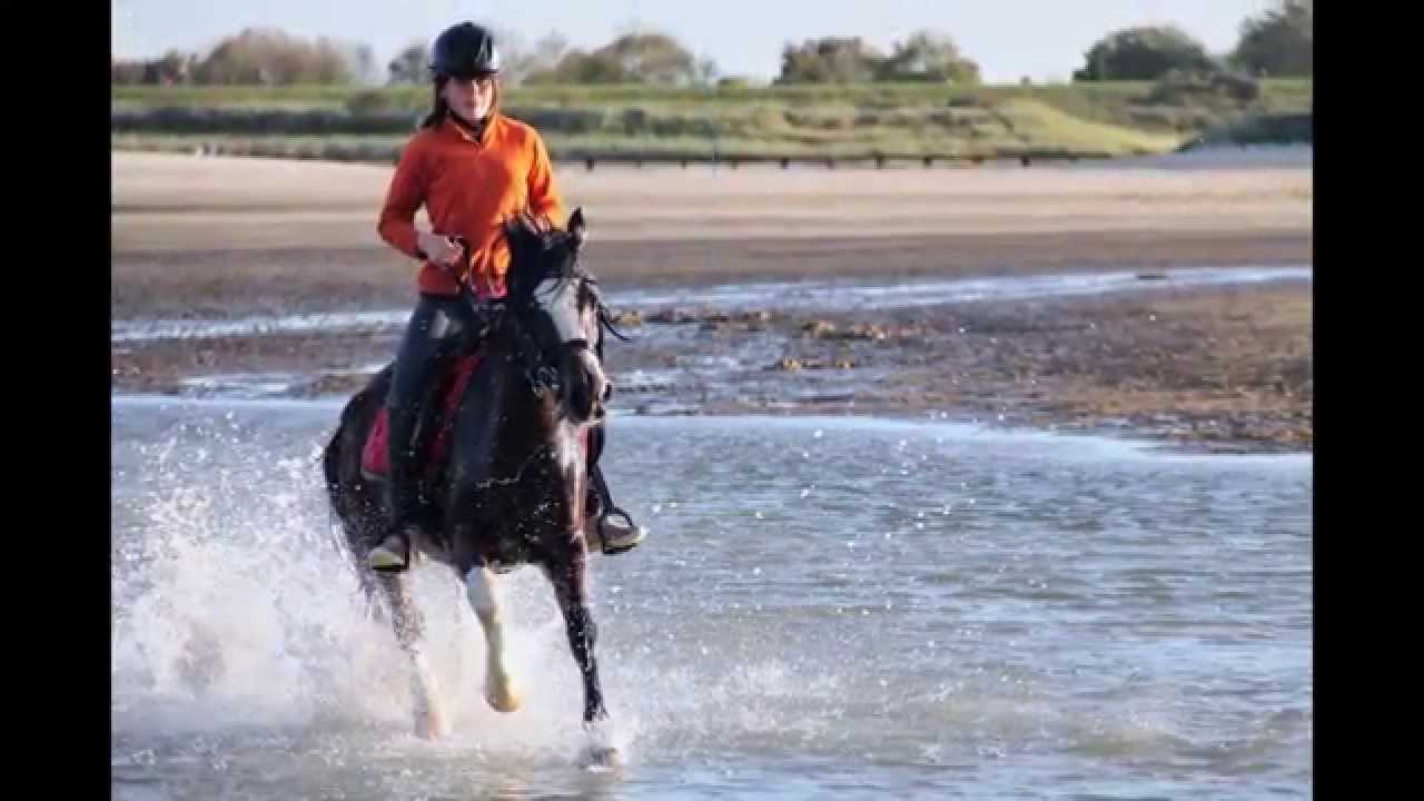 KISS COOL DES ISLOTS