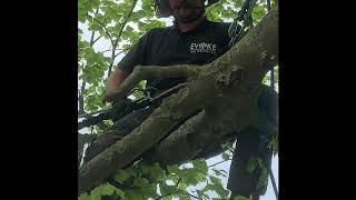 Target pruning
