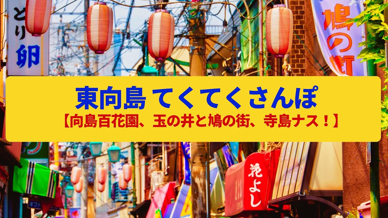 【てくてくさんぽ】東向島  江戸の庭園、赤線の名残の商店街〈向島百花園、鳩の街通り商店街〉Walk around Higashi-Mukojima,TOKYO JAPAN