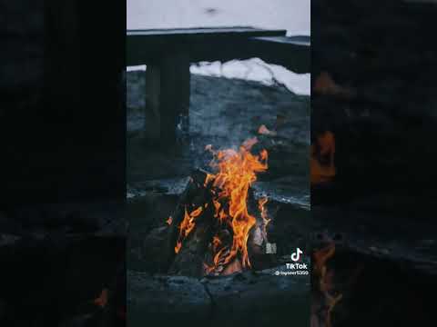 حب ايه الا انت جاي تقول عليه اشتراك اكسبلور ستوريات طرب حالات واتس ام كلثوم اغاني زمان