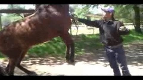 Worming the Problem horse on the spot with Mike Hughes, Auburn California