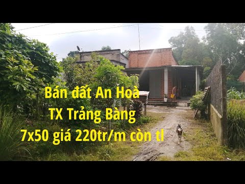 Video bán đất An Hoà Thị xã Trảng Bàng 7x50 đường xe tải... - youtube