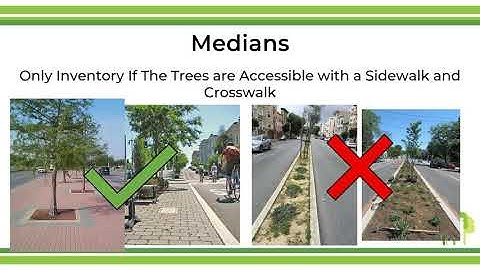 How to Inventory a Boston Street Tree: Unique Circumstances (Video 6 of 7)