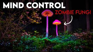 The Zombie Fungi