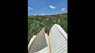 سورة الفاتحة🌸 🔋بصوت جميل جداً🤲🤲 #القرآن_الكريم #اكسبلور #اذكار_الصباح