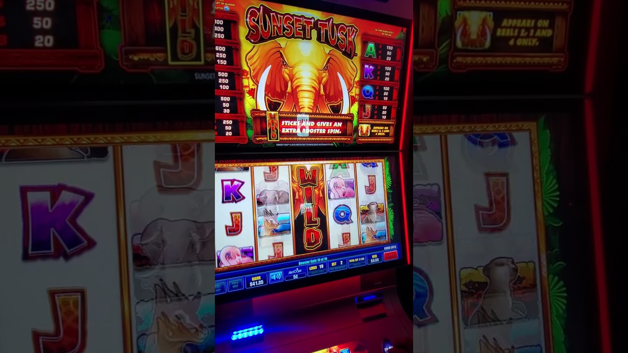 15 spin sunset tusk bunos