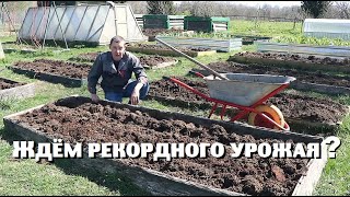 Сделали всё для небывалого урожая овощей !