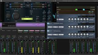 Rubrum (The Color Red) - Virtual Playing Orchestra Play-through