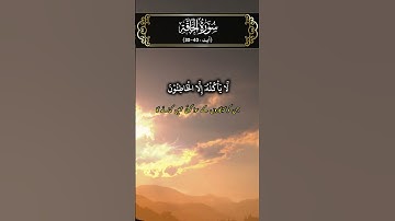 Surah Al-Haqqah Part 4 (The Reality) | سورة الحاقة | Urdu Translation #fatehmuhammadjalandhari